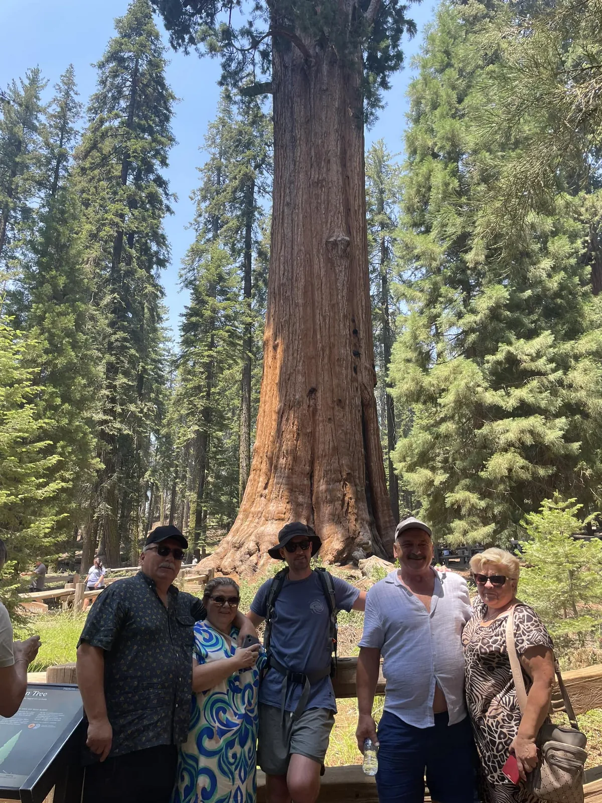 Sequoia National Park - gigantyczne sekwoje z przewodnikiem