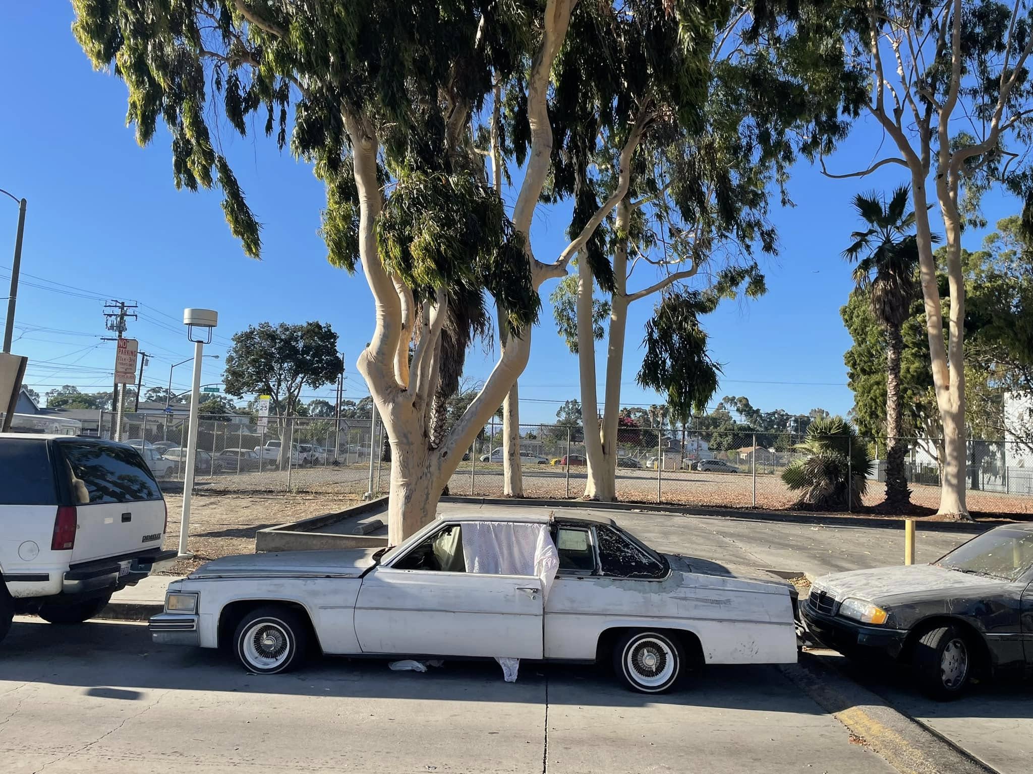 Wycieczka do Las Vegas - Zdjęcie 06