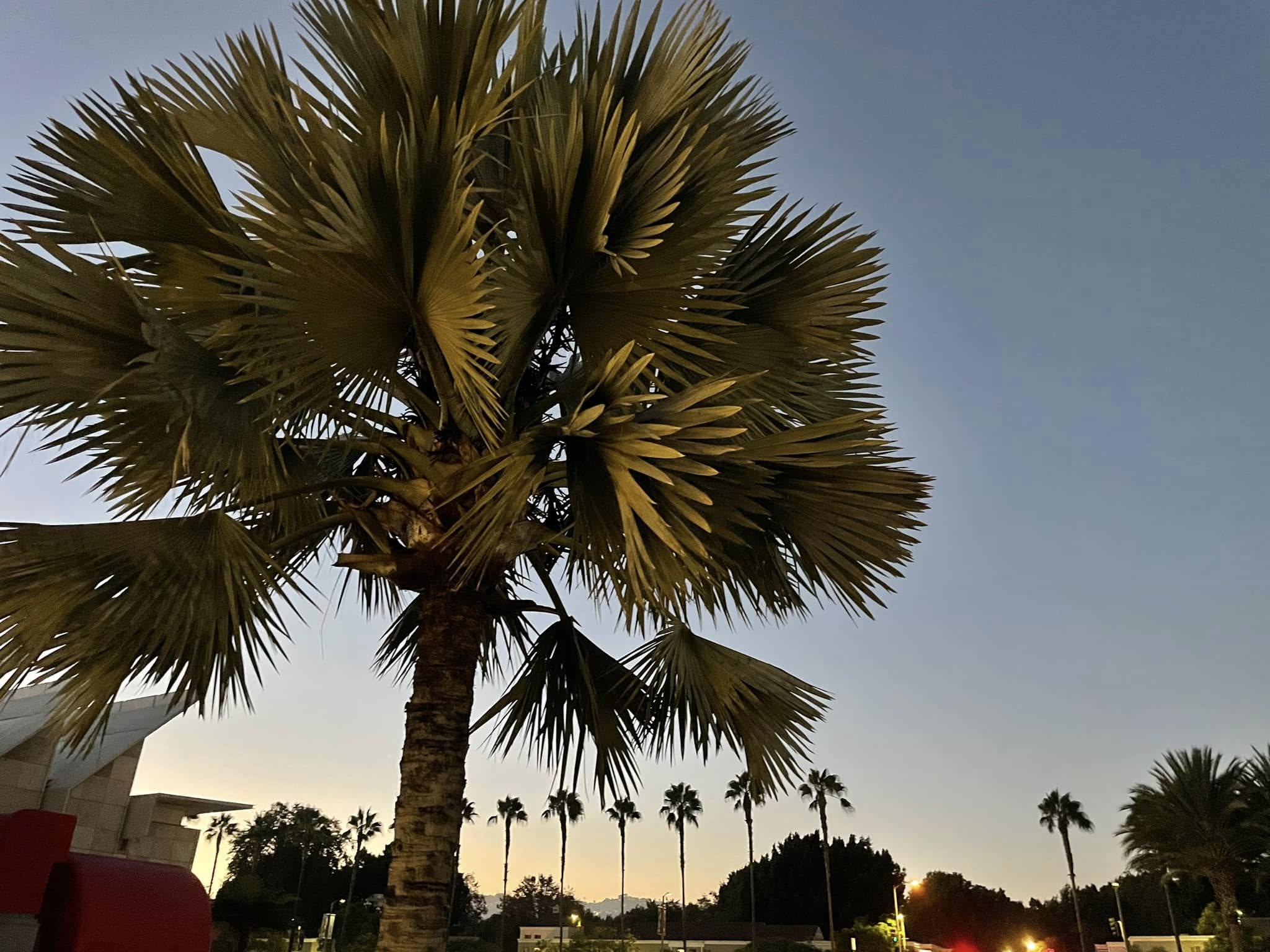 Wycieczka po Los Angeles - Zdjęcie 09