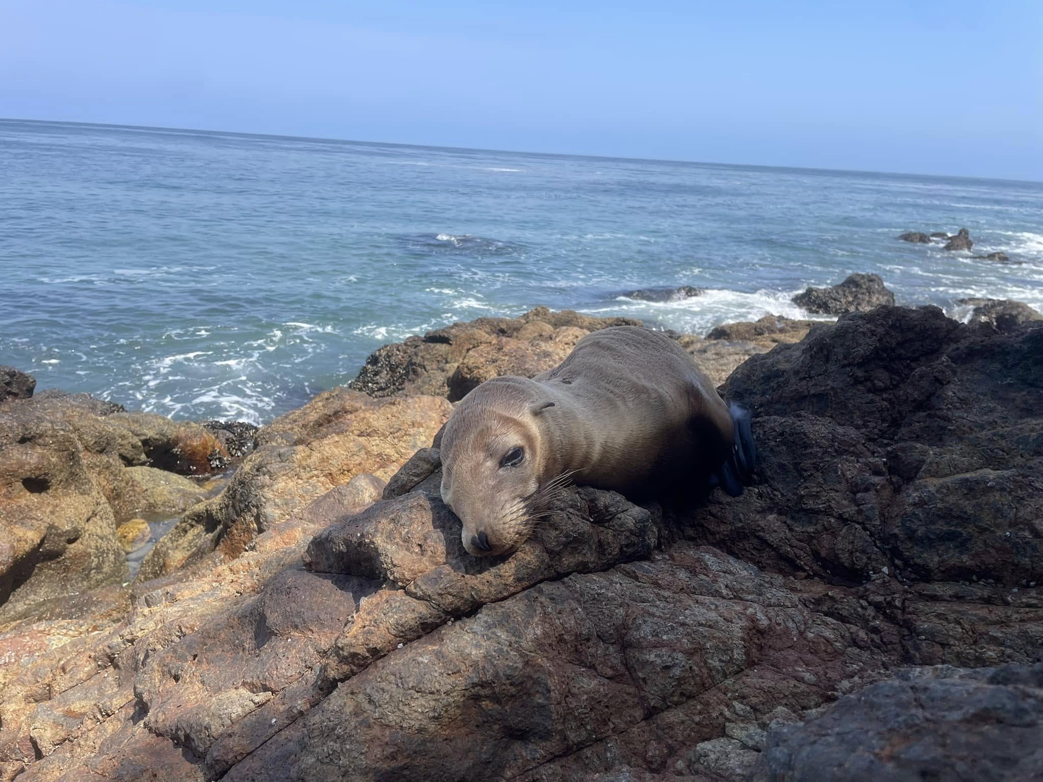 Wycieczka po Los Angeles - Zdjęcie 23