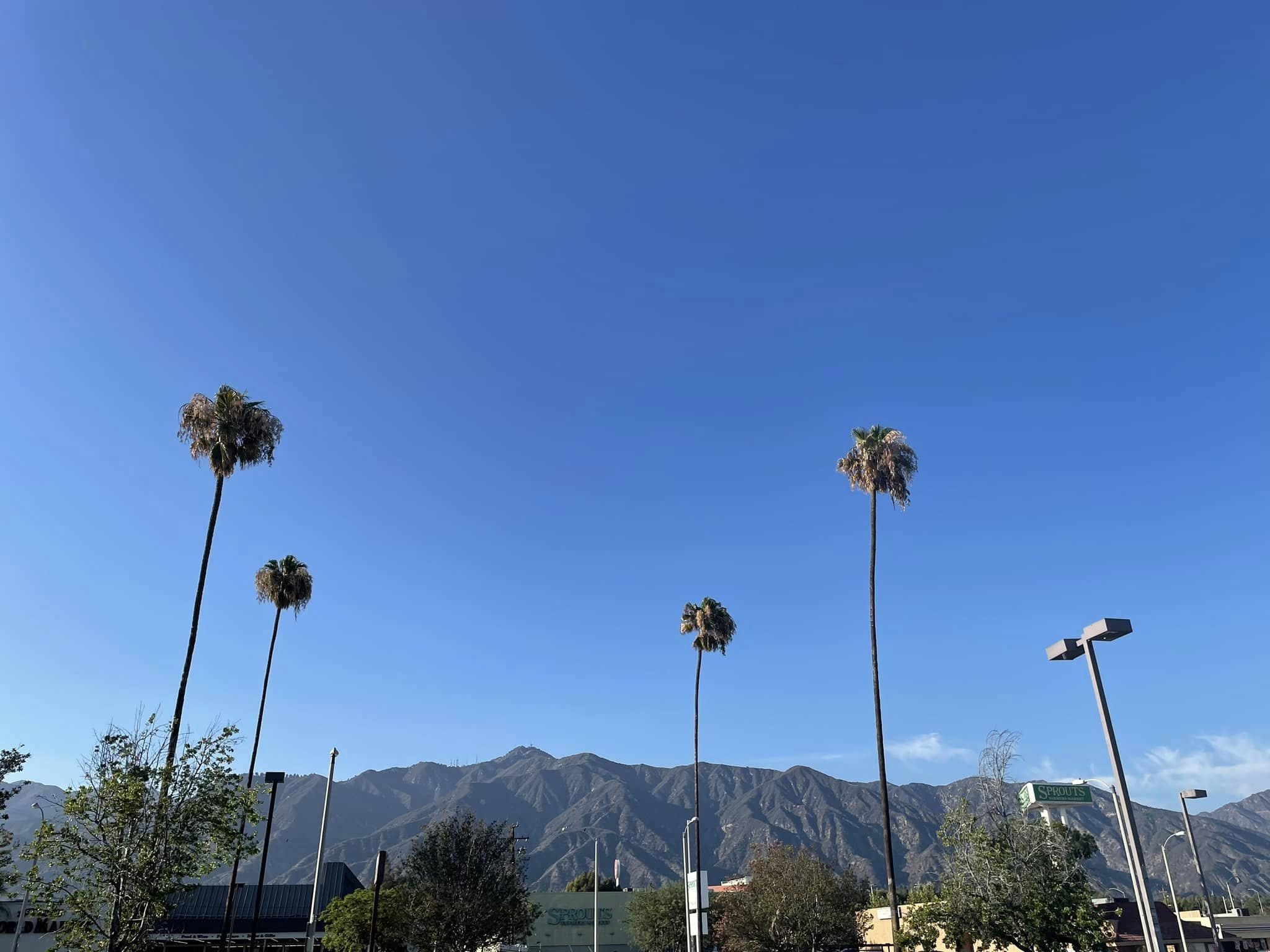 Wycieczka po Los Angeles - Zdjęcie 24