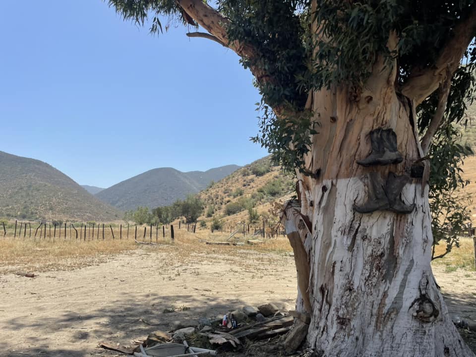 Wycieczka do Meksyku - Zdjęcie 05