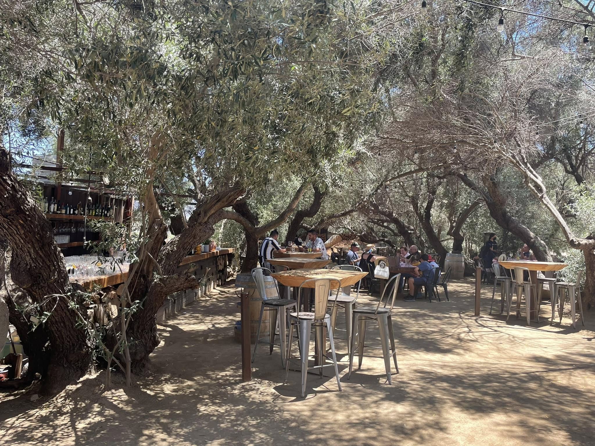 Wycieczka do Meksyku - Zdjęcie 09