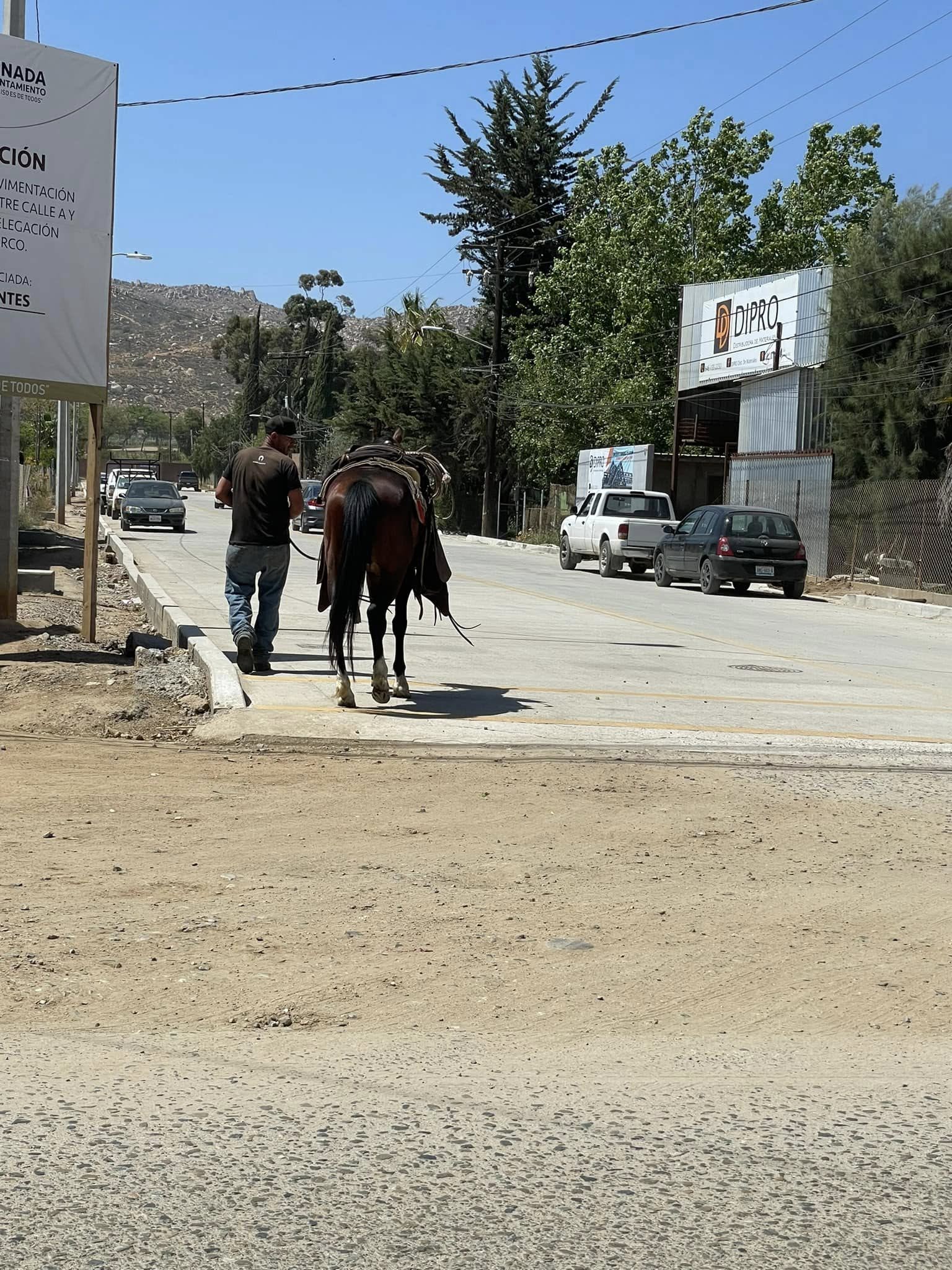 Wycieczka do Meksyku - Zdjęcie 10