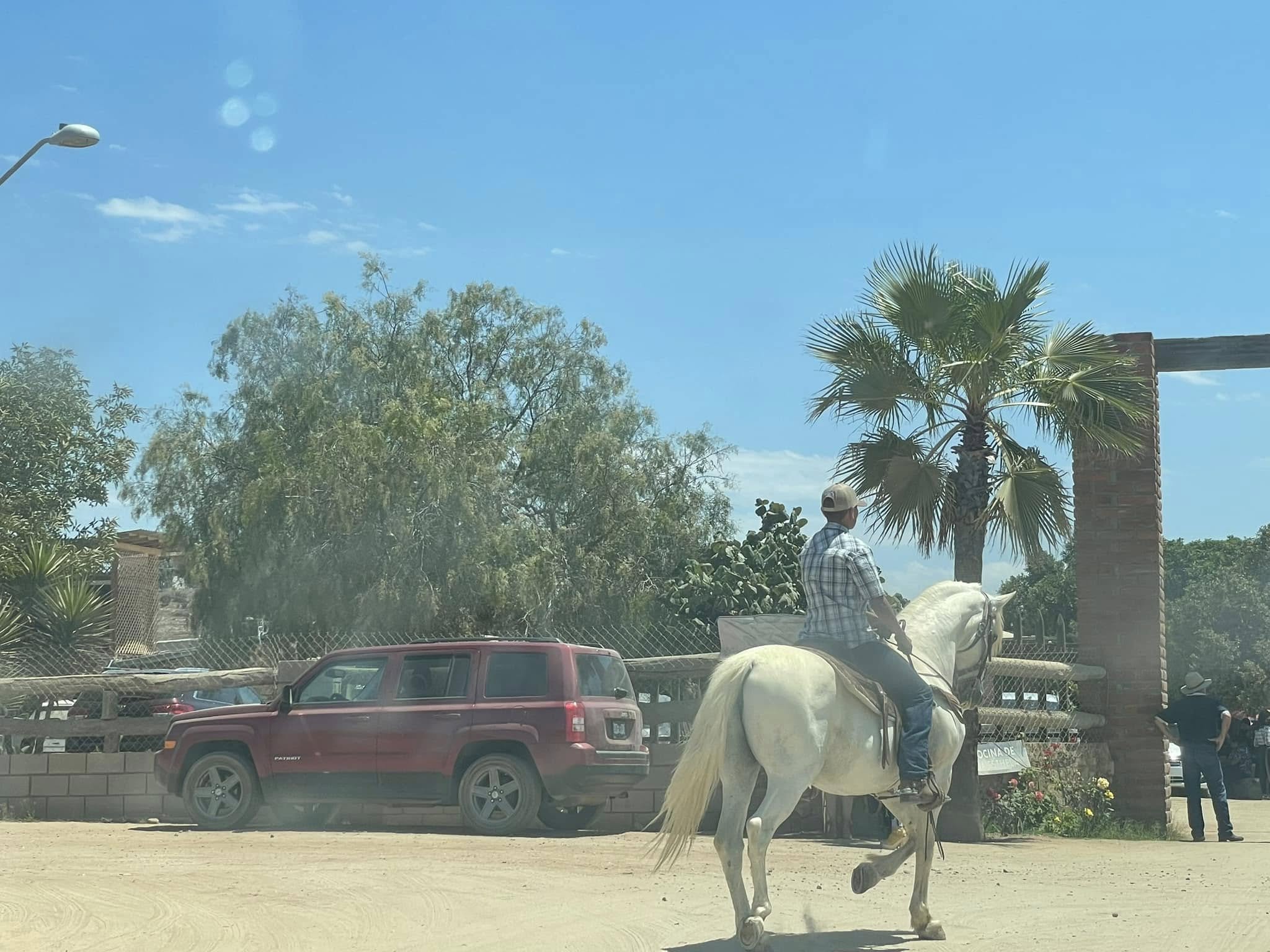 Wycieczka do Meksyku - Zdjęcie 15