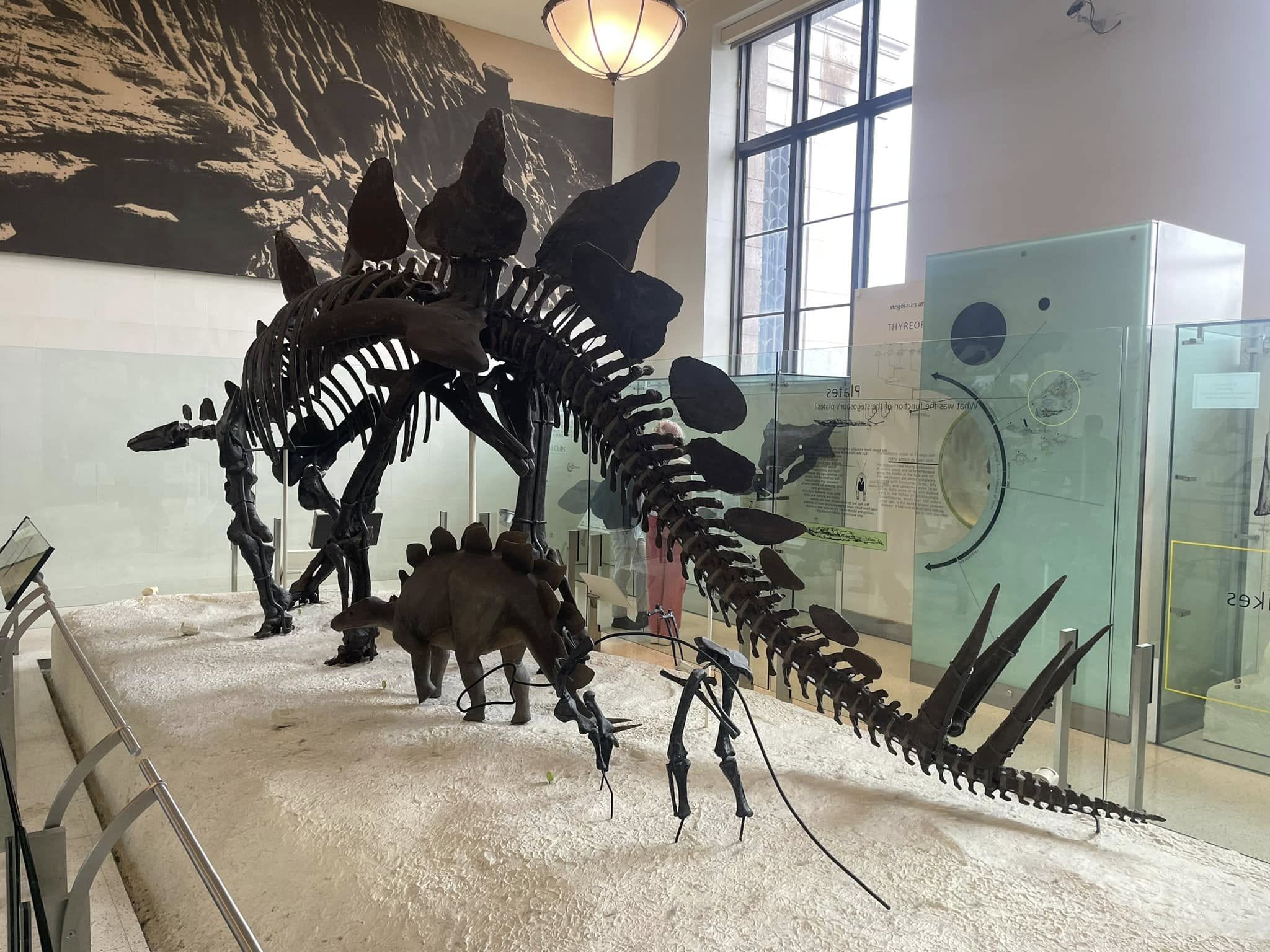 Wycieczka do New York - Zdjęcie 14