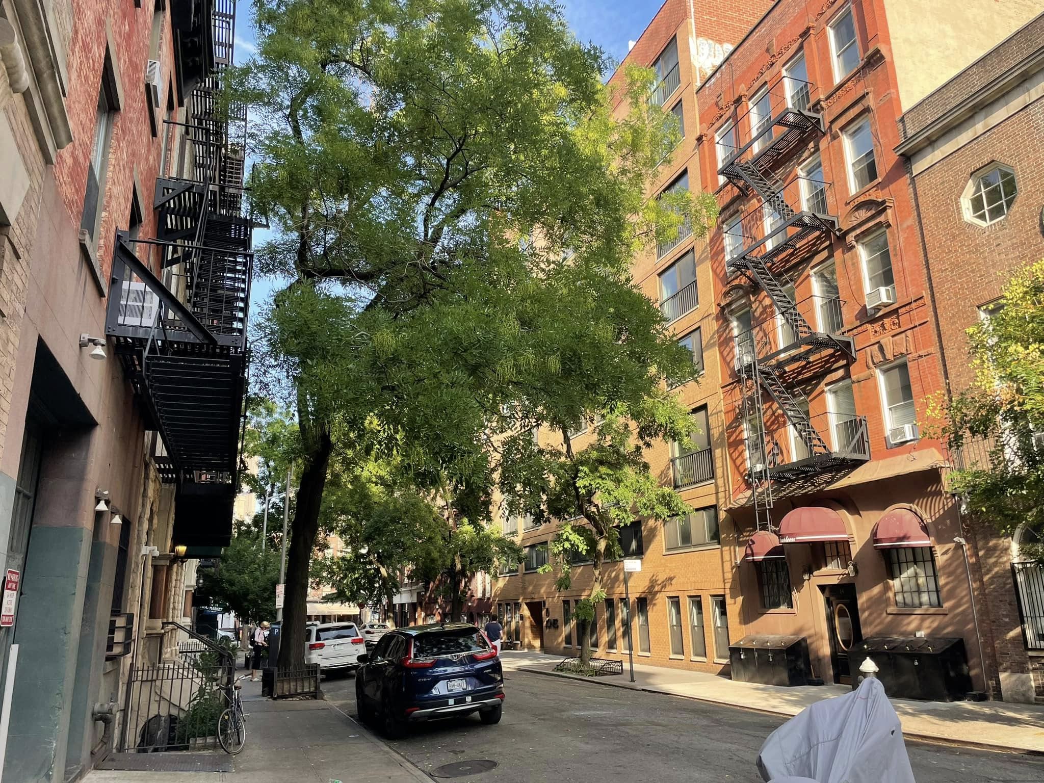 Wycieczka do New York - Zdjęcie 18